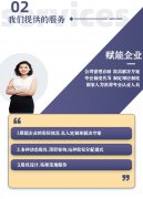 股权方案分配方案架构设计合伙人激励协议公司创业章程定制咨询