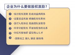 股权方案分配方案架构设计合伙人激励协议公司创业章程定制咨询
