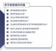 股权方案分配方案架构设计合伙人激励协议公司创业章程定制咨询