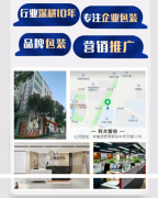公司企业简介ppt代制作宣传片文案品牌故事策划画册设计品牌介