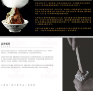 品牌故事原创文案策划全案代写产品介绍企业文化宣传文案设计pp