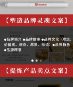 品牌故事原创文案策划全案代写产品介绍企业文化宣传文案设计pp