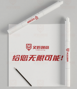 品牌故事原创文案策划全案代写产品介绍企业文化宣传文案设计pp