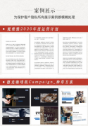 写公司简介绍企业文化品牌故事产品包装宣传广告策划品牌文案设计